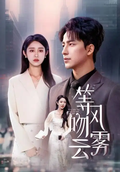破晓 电视剧封面